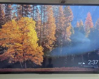 Insignia 55" TV: with adjustable mount $100
model: NS-55D421NA16