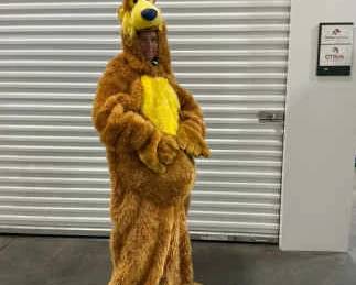 Disney Bear Costume