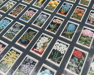Original 1917 WILLS CIGARETTE TOBACCO WILD FLOWERS CARDS NICELY MOUNTED & FRAMED