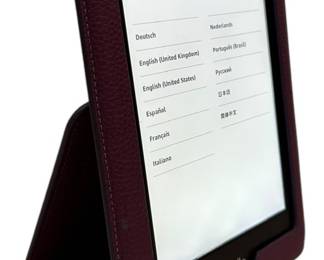 Kindle Paperwhite EReader 6th Gen