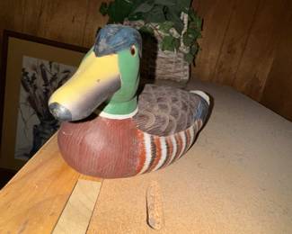 DUCK !