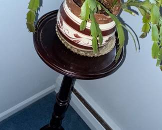 another lonely plant...