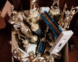Trophies looking to be re-Homed...