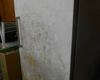 Upright Freezer