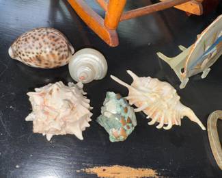 Shells