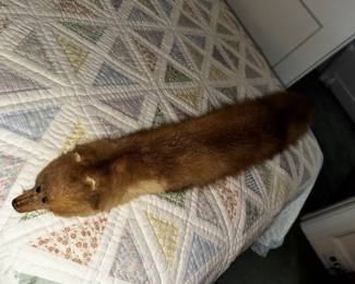 Varmint!
