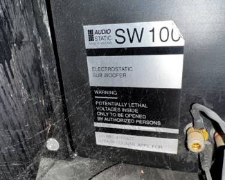 Audio Static SW 100 Subwoofer