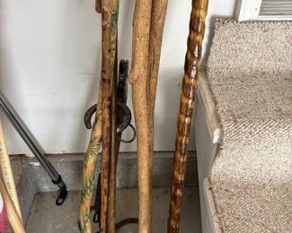 Walking sticks