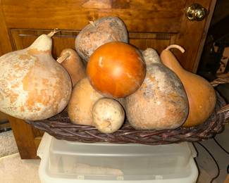 Gourds