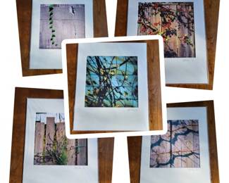Signed Photography Prints