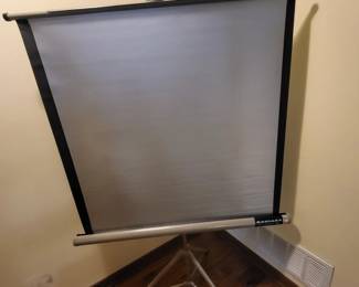 Radiant Portable Movie Screen