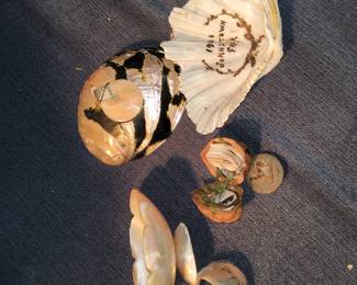 Souvenir shells,shell ink well