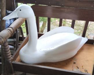Swan