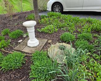 Bird bath