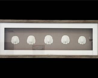 Sand Dollar Decorative Wall Art