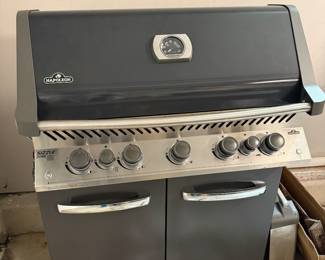 Napoleon P665 gas grill