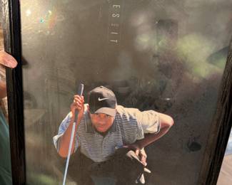 Tiger Woods "The Eyes Have It" framed poster