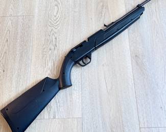 Crosman Pump Master 760 BB / Pellet Gun