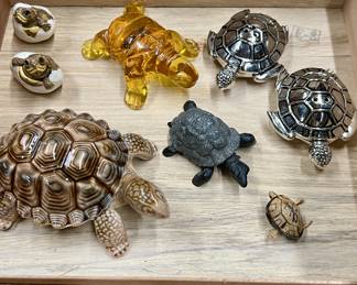 we love turtles! Lot