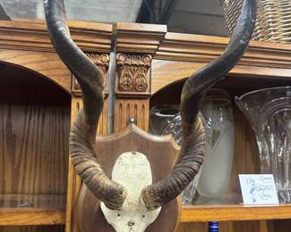 Vintage Exotic European Style Mounts
