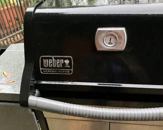 Weber Grill