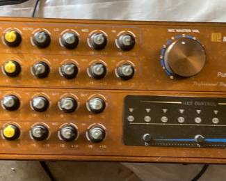 Martin Ranger Mixing Amp