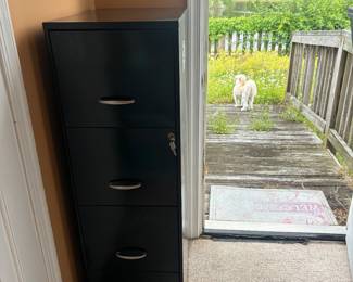 Black filing cabinet for organization.