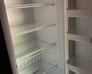 Frigidaire Frost-free Upright Freezer
