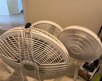 Fans