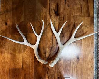 Antlers