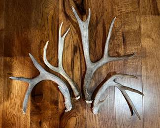 Antlers