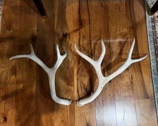 Antlers