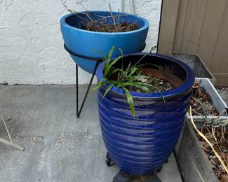 Potted plants
