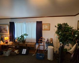 night stands, artificial plants, picture frames, lamps, more small end tables