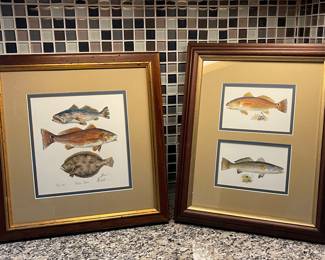 FRAMED FISH PRINTS