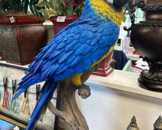 Please Bring a Cracker for Polly