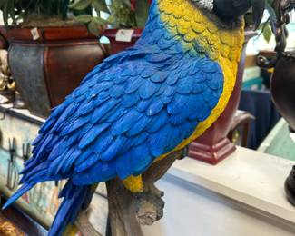 Know a Parrot Head?  This one is Huge