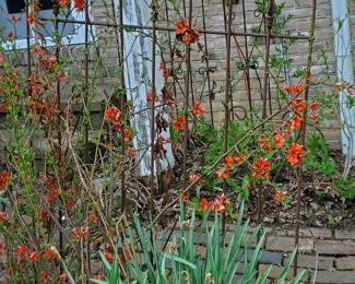 Iron Fence Section