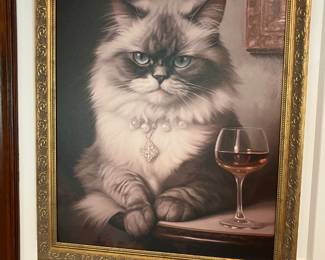 Cool Cat Picture