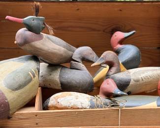 DECOYS