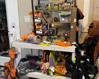 Halloween Lemax village items, dog clothes , etc