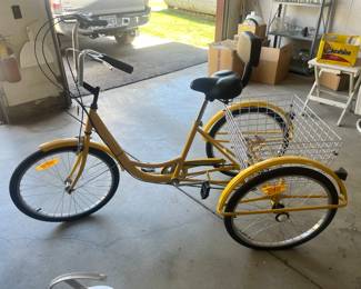 Like new three wheel bike