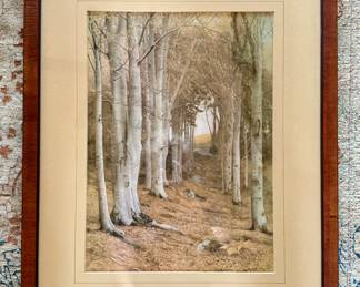Framed and matted forest print by James T. Watts