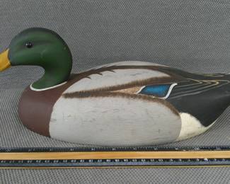 4137 1.jpg
