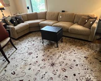 Rugs and sectional