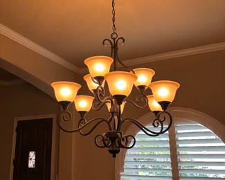 8 light chandelier comes with bulbs