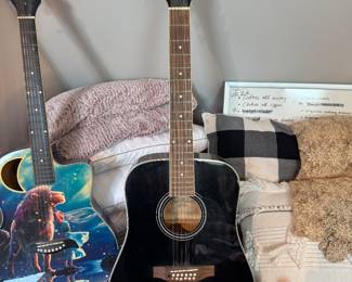  Carlo Robelli 12 string guitar