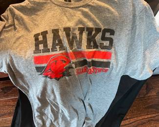 Hawks  basketball 