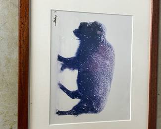 Bison