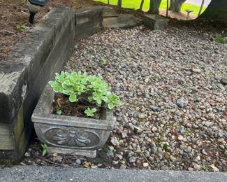 Cement Planters